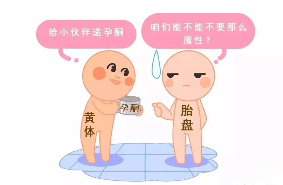 HCG和孕酮低一定會流產？備孕女性必須知道的孕早期“秘密”
