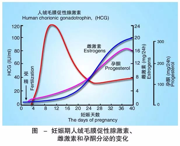 懷孕期間HCG低怎么辦？